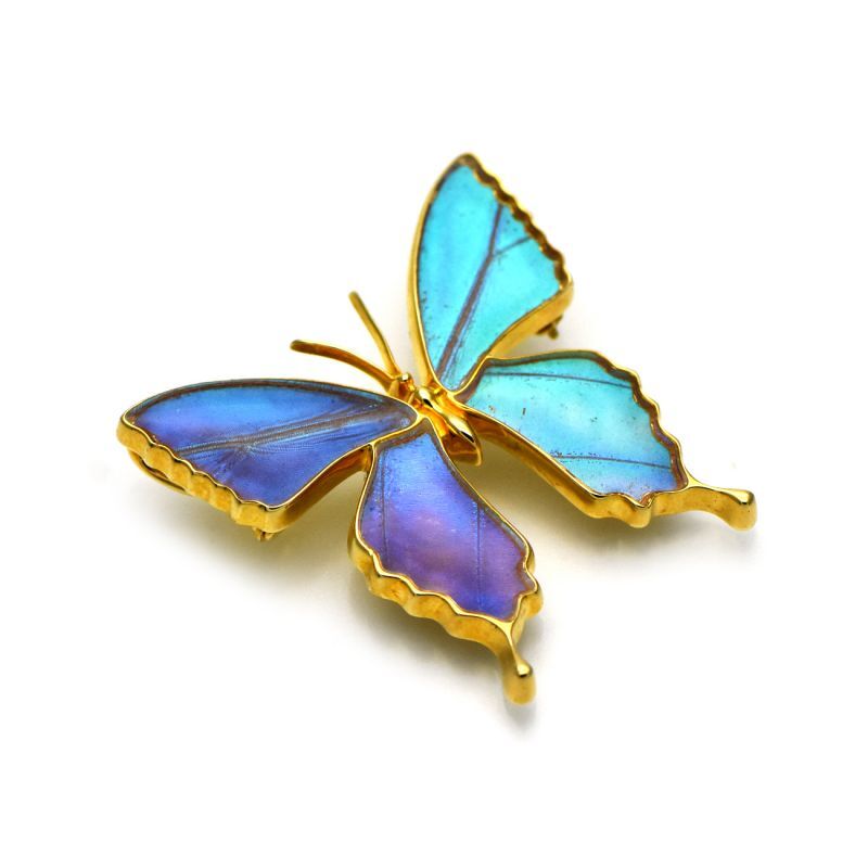 ゼフィリティスモルフォ 蝶の翅 ブローチ兼ペンダント シルバー925 