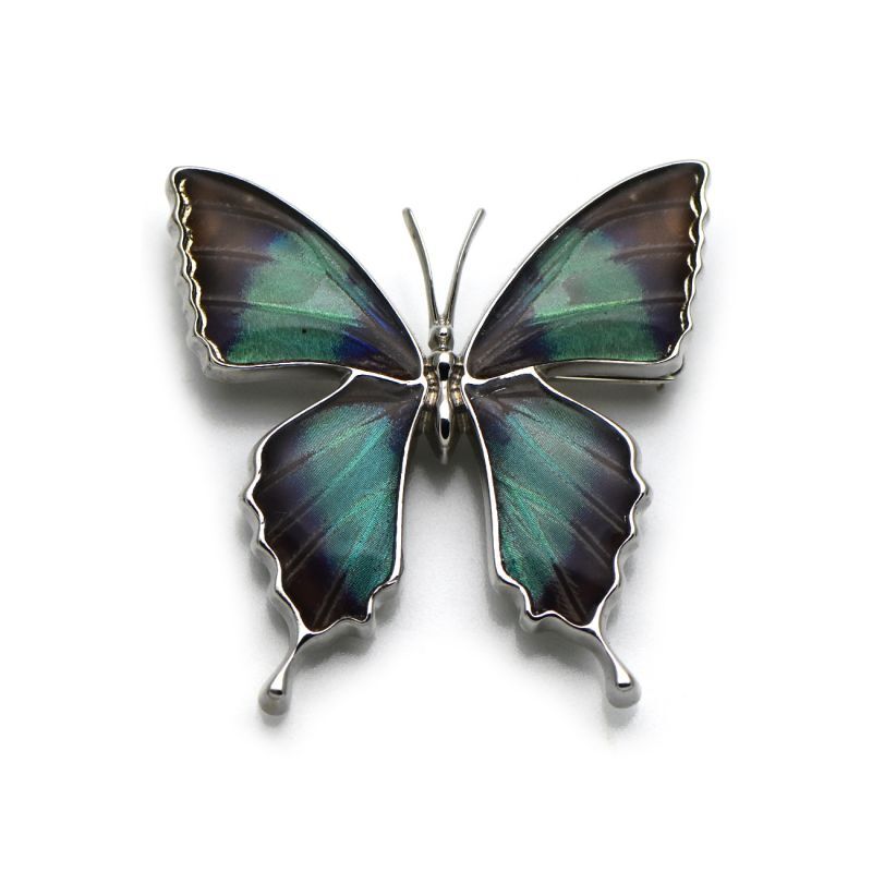 ドクソコパチェルビナ 蝶の翅 ブローチ兼ペンダント シルバー925【Psyche|プシュケ】